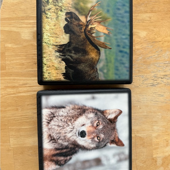 Wildlife Animal Print wall decor - Picture 1 of 6